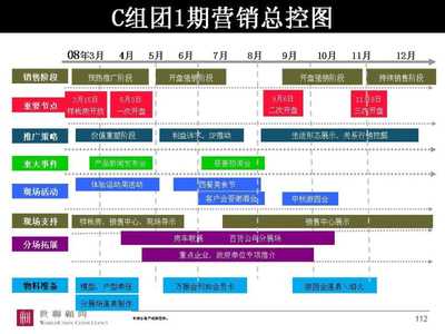 世聯(lián)安徽合肥萬振房地產(chǎn)項目市場營銷策劃總綱